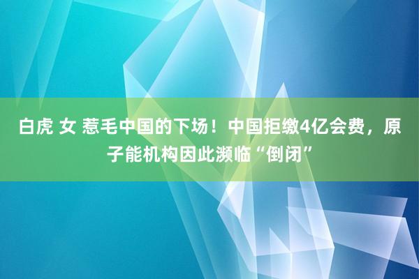 白虎 女 惹毛中国的下场！中国拒缴4亿会费，原子能机构因此濒临“倒闭”