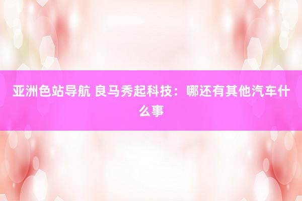 亚洲色站导航 良马秀起科技：哪还有其他汽车什么事