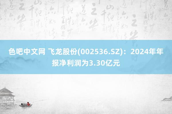 色吧中文网 飞龙股份(002536.SZ)：2024年年报净利润为3.30亿元
