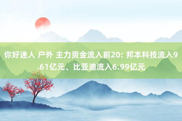 你好迷人 户外 主力资金流入前20: 邦本科技流入9.61亿元、比亚迪流入6.99亿元