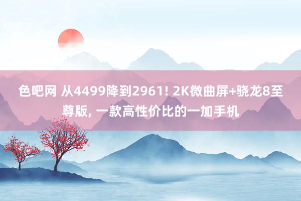 色吧网 从4499降到2961! 2K微曲屏+骁龙8至尊版， 一款高性价比的一加手机