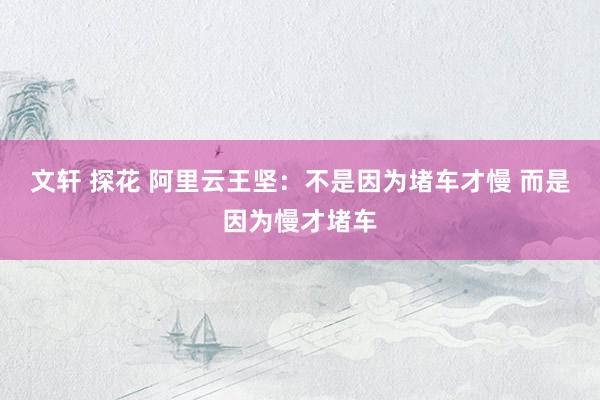 文轩 探花 阿里云王坚：不是因为堵车才慢 而是因为慢才堵车