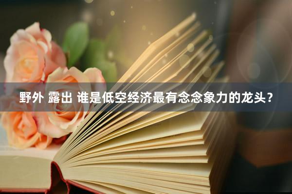 野外 露出 谁是低空经济最有念念象力的龙头？